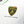 Automobili Lamborghini Squadra Corse Men's Team Polo Shirt - White - image 5