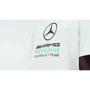 Mercedes - AMG Petronas Formula One Men's DNA Graphic T-Shirt - Black/White - image 14